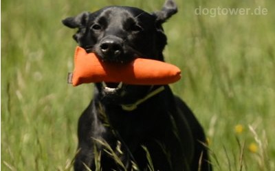 Easy Fetch Hundedummy, aus Canvasstoff