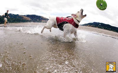 Ruffwear Hundefrisbee