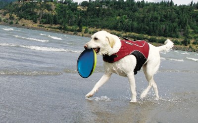 Nylon Hundefrisbee