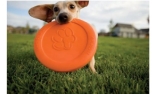 Hundefrisbee West Paw 