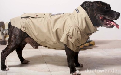 Hundejacke für bullige/kompakte Hunde