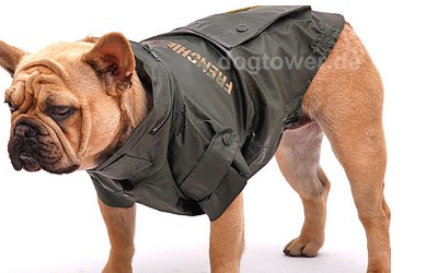 Hundejacke Baleren, oliv