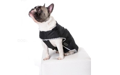 Wolters Basic Sport Hundejacke