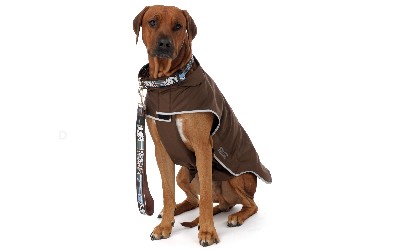 Basic Sport Hundejacke, braun