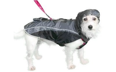 Hundejacke Rain Skin im Einsatz in schwarz