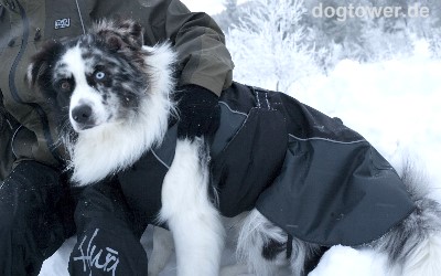 Winter Hundebekleidung von Hurtta