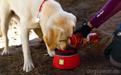 Ruffwear Hundenapf Bivy Bowl