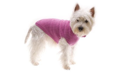 Hundepullover, pink aus Wolle