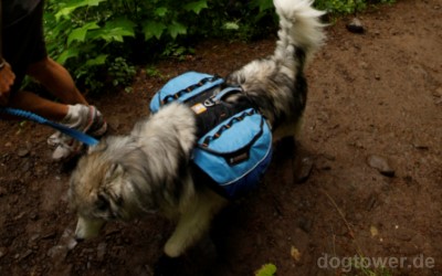 Approach pack, Rucksack für Hunde