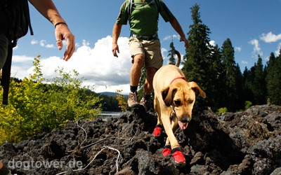 Hundeschuhe für Wanderungen