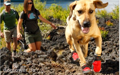 Ruffwear For Dogs on the Go