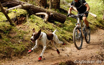 Ruffwear Hundeschuhe z.B. für Fahrrad fahren