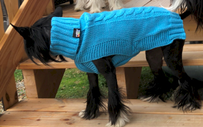 rukka Wooly Knitwear Hundepullover, aqua