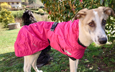 Hurtta Hundemantel Summit Parka, kirsche