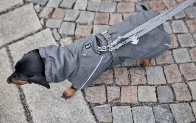Perfekte Sondergrößen, für kurzbeinige Hunde wie z.B. Dackel