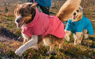 Hurtta Hundemantel Expedition Parka II, strawberry