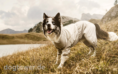 Sunblocker und Insketenschutz für Hunde