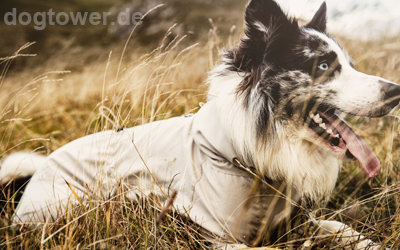 Hurtta Hundeoverall für den Sommer