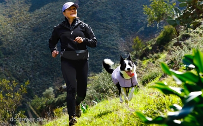 Lauf- und Hüfttasche