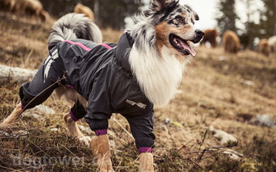 Ideal für langhaarige Hunde