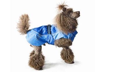 Wasserdichte Hundejacke