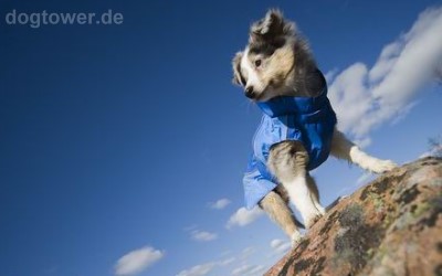 Outdoorjacke für Hunde