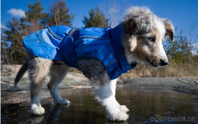 Regen- Hundejacke, Hurtta Kollektion