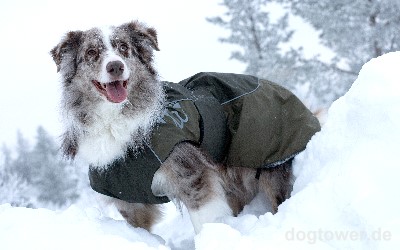 Regenjacke Pro, olivgrün, von Hurtta