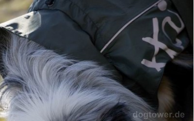 Hundejacke mit Kragen