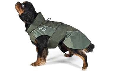 Hundejacke für kleine und mittelgroße Hunde