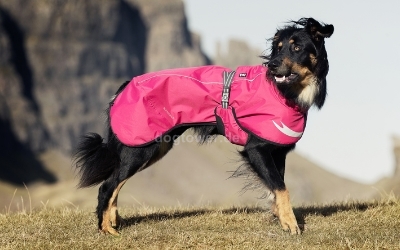 Hurtta Torrent Coat, für aktive Hunde