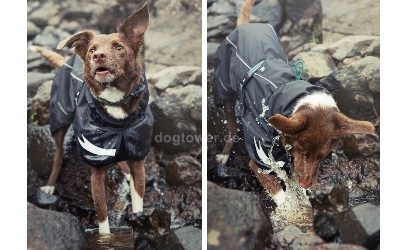 Hurtta Torrent Coat, für aktive Hunde