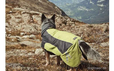 Ultimate Hundejacke in birke