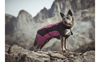 Ultimate Hundejacke in Himbeer