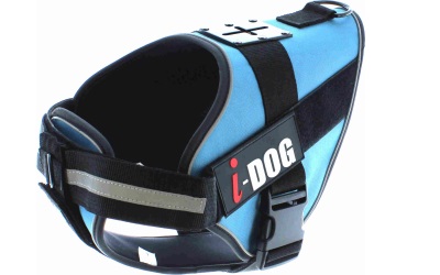 I-DOG Geschirr NeoCAM blau