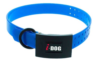 I-DOG Halsband PREMIUM blau