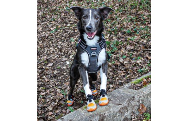 I-DOG Hunde-Boots KHAN PAD NPROTECT AIR orange