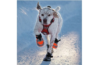 I-DOG Hunde-Boots KHAN PAD NPROTECT POLAR orange