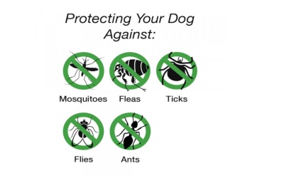 Insect Shield Hundeweste mit Insektenschutz
