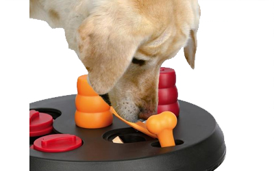 Intelligenzspielzeug Dog Activity Flip Board