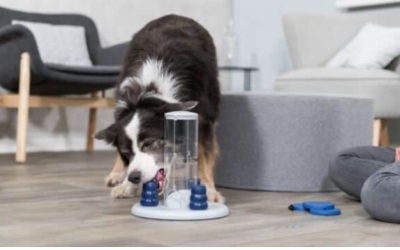 Intelligenzspielzeug Dog Activity Gambling Tower