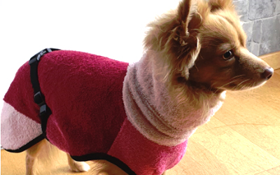 iqo Hundebademantel Pitschnass, rosa/bordeaux/pink 