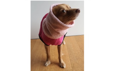 iqo Hundebademantel Pitschnass, rosa/bordeaux/pink 
