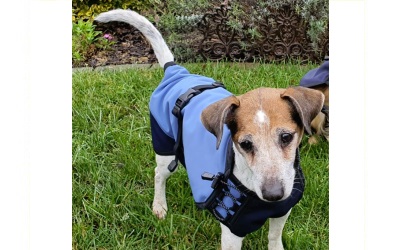 iqo leichte Regenjacke, jeansblau/navyblau