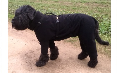 iqo Softshell Hundeoverall, schwarz