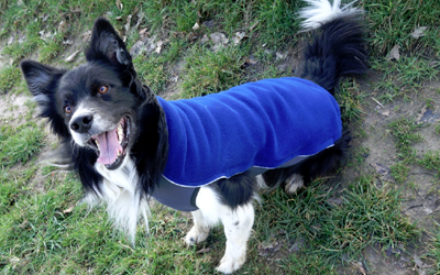 iqo Thermo-Fleece Hundepullover Comfy (inkl. Reflektoren), marineblau