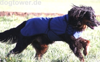 IQO VXf Softshell Hundemantel dunkelblau