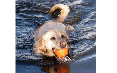 ...funktioniert auch im Wasser