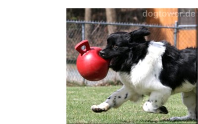 Tug n Toss Jollyball