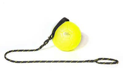 Julius K9 Schautraining Ball gelb